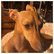 titika_daskalaki