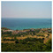 basilis_meligkonis