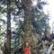 Ioannis_Giann_21
