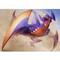 Garchomp98