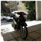 xaris775