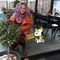 katrin_pas