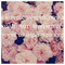 Dim_Flo49
