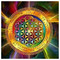 Star_Rambler