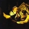 Panfo