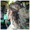 aspasia_adm