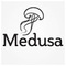 Medusa_Deliveries