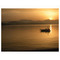 Michalis_dimitriou66