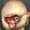 Adon_Alex