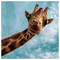 Kassianna_Tsoulou
