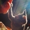 Mike_Tillack