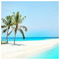 ioannis_drolapas