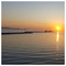 GEORGIOS_SARIDAKIS35