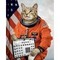 synthcat