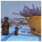 levanta_shop