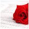 chatzimariaemail
