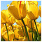 kostas_athanasopoulos4578