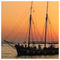 bill_kam4123