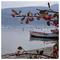 Maria_Livaniou714