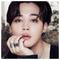 JiminieFILTER