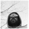 Vasilis_Georgakopoulos905