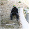 Antonis_BUSA