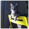 KYRIAKOS_TSABIS