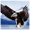 Sotiris_Pantos6796