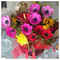 Tasos_Argiriou