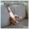 Alexandros_Aznaouridis