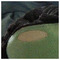 MIKE_TSES