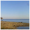 Dima_Makropoulos