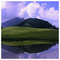 Alex_K5220