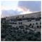 Panagiotis_Mitsopoulos3786