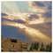 dimitrios_xynarios2367