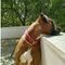 eleni_mylona2953