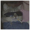 Themida_Tzeki7291