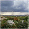 Dimitris_Milionis893