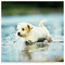 Maria_Karytinou
