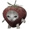 ._Giannis._.