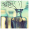 Apostolos_Tsoukalas343