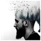 Petros_Nikolaou5672