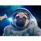 spacemanssd_1 <h1><img src-->