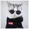 Taha_Padal__Mehmet