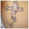 zachs_20