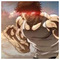 Brainless_Camel