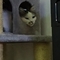 tamtamtam