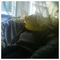 despoina_kam5282
