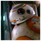 BB8
