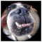 Stelios_Pats